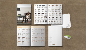 HinLim brochure design
